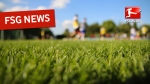 FSG-News
